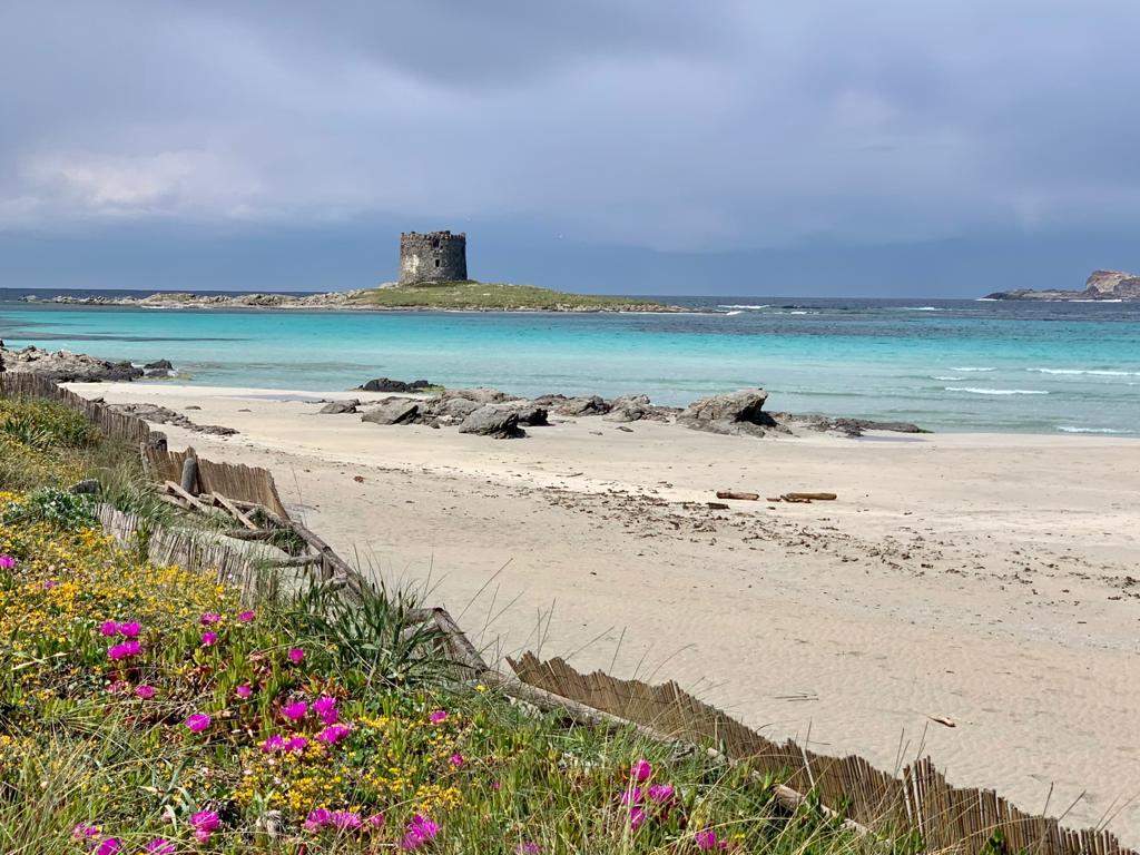 Cala Pelosa Stintino Sardynia, Cala Pelosa wiosna 