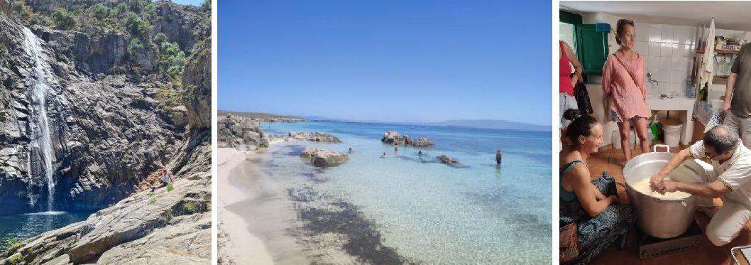 zdjęcie po prawej -warsztaty serowarskie u Luca w Macomer