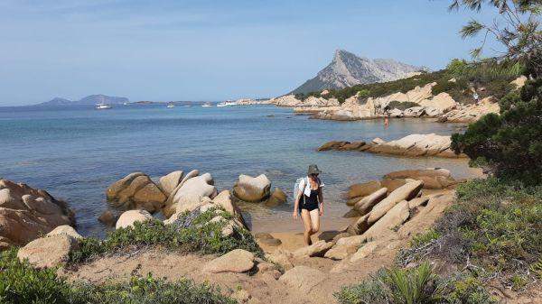 Spiaggia delle Vacche na Sardynii
